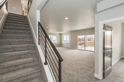 Carpeted Basement Steps to a Finished Basement